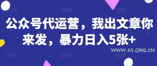 公众号代运营，我出文章你来发，暴力日入5张+【揭秘】-351资源网
