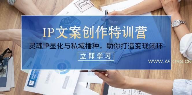 IP文案创作特训营，灵魂IP显化与私域播种，助你打造变现闭环(14节课)-351资源网