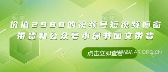 价值2980的视频号短视频橱窗带货和公众号小绿书图文带货-351资源网