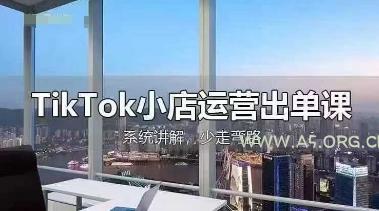 TikTok小店运营出单课,从开店选品、运营出单、发货回款,进行全流程讲解-351资源网