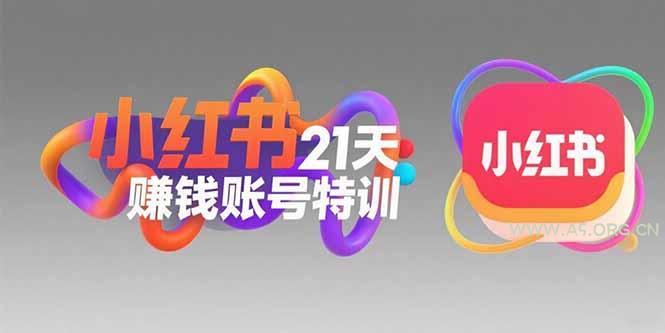 小红书21天赚钱账号特训：黄金定位技巧，高转粉文案创作，科学引流策略-351资源网