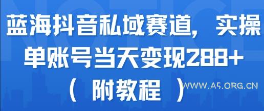 蓝海抖音私域赛道，实操单账号当天变现288+(附教程)-351资源网