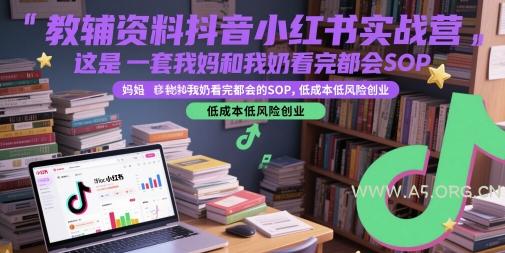 教辅资料抖音小红书实战营，这是一套我妈和我奶看完都会的SOP，低成本低风险创业(更新)-351资源网