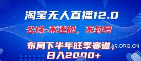 淘宝无人直播12.0，不封号，不违规，布局下半年旺季赛道，日入1k+(独家技术)【揭秘】-351资源网