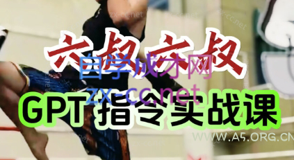 六叔的AI指令实战课(更新7月)-351资源网