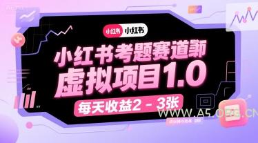 小红书考题赛道虚拟项目1.0，项目操作简单，每天收益2-3张-351资源网