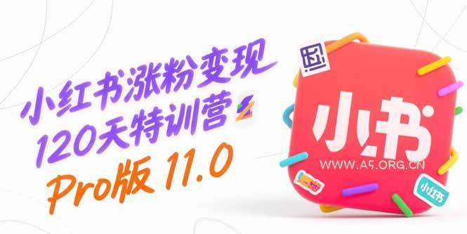 小红书涨粉变现120天特训营Pro版11.0：从0到1掌握平台运营,内容制作和变现-351资源网