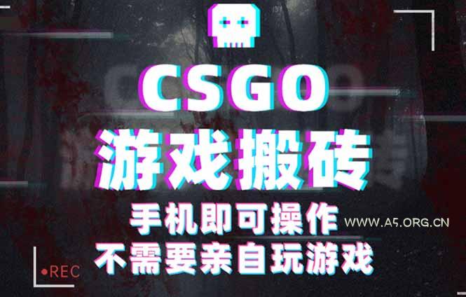 CSGO游戏挂机捡漏,单日扫货500+,年底小高峰上车可吃肉,手机即可操作…-351资源网
