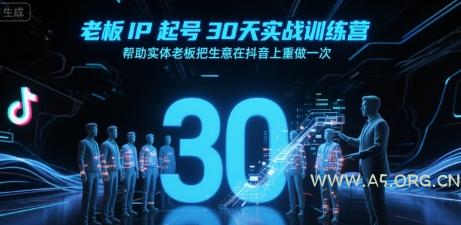 老板IP起号30天实战训练营，帮助实体老板把生意在抖音上重做一次-351资源网