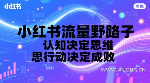 小红书流量野路子，认知决定思维，思维决定行动，行动决定成败-351资源网