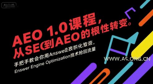 AEO 1.0 课程，从SEO到AE0的基命性转变，手把手教会你用AnswerEngineOptimization技术抢回流量-351资源网