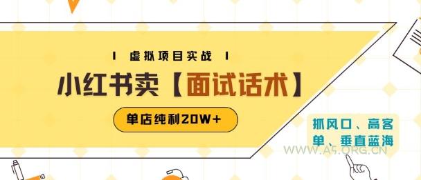 小红书虚拟项目掘金，卖面试话术资料，单店纯利20W+(附爆款笔记制作方法)-351资源网