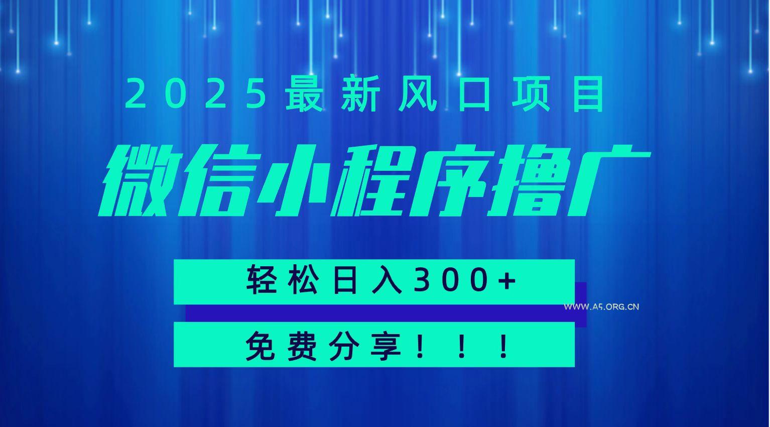 微信小程序撸广，最新风口项目，日入300+ 免费分享 可批量操作 小白可轻松上手！！-351资源网