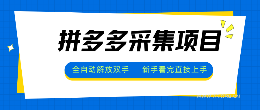 拼多多采集项目，全自动解放双手，单号日入30+-351资源网