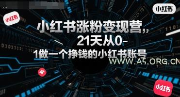 小红书涨粉变现营，21天从0-1做一个挣钱的小红书账号-351资源网