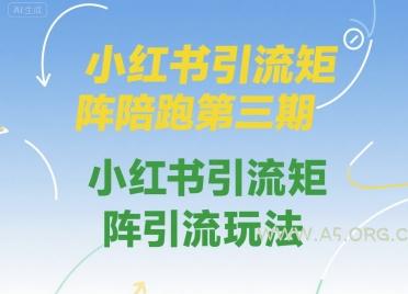 小红书引流矩阵陪跑第三期，小红书引流矩阵引流玩法-351资源网