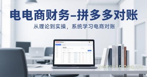电商财务-拼多多对账，从理论到实操，系统学习电商对账-351资源网