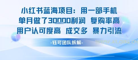 小红书蓝海项目，一部手机单月做了3W利润，小白也能月入过1W用户认可度高成交多-351资源网