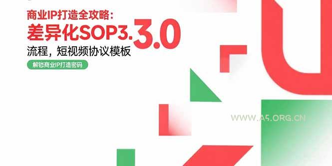 商业IP打造全攻略：差异化SOP3.0流程，短视频协议模板，婚恋项目实战案例-351资源网