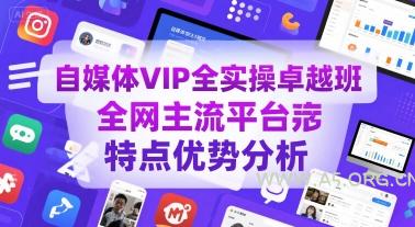 自媒体VIP全实操卓越班，全网主流平台特点优势分析-351资源网