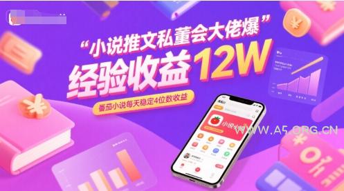 小说推文私董会大佬爆单经验分享收益12W，番茄小说每天稳定4位数收益-351资源网