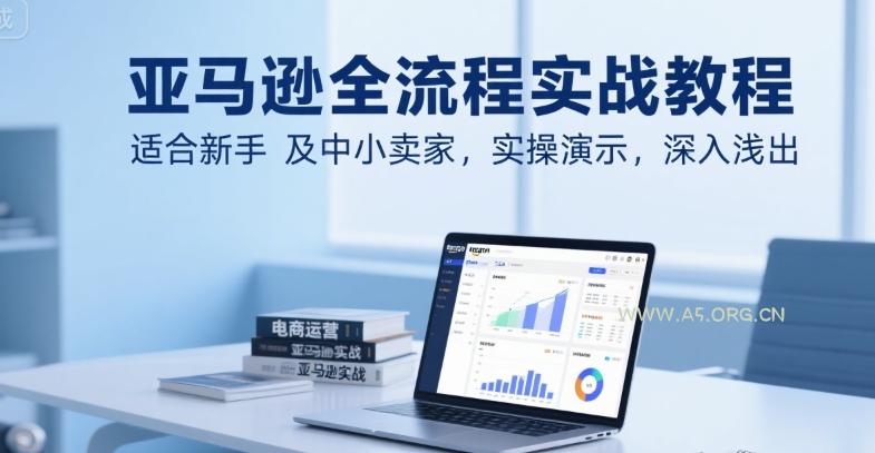 亚马逊全流程实战教程，适合新手及中小卖家，实操演示，深入浅出-351资源网