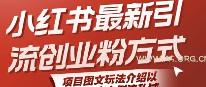 小红书最新引流创业粉方式，项目图文玩法介绍以及如何安全倒流私域-351资源网