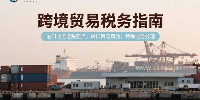 跨境贸易税务指南，进口业务退税要点，转口贸易风险，特殊业务处理-351资源网