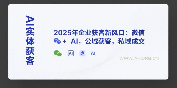 AI实体获客，2025年企业获客新风口：微信+ AI，公域获客，私域成交-351资源网