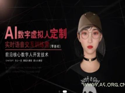 AI数字虚拟人定制，实时语音交互训练营(零基础)，前沿核心数字人开发技术-351资源网