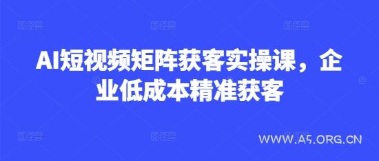 AI短视频矩阵获客实操课，企业低成本精准获客-351资源网