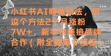 小红书AI商单玩法，用这个方法2个月涨粉7W+，新手也能接品牌合作(附全套指令模板)-351资源网