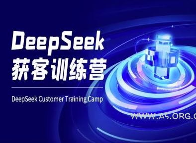 DeepSeek获客训练营-ai电商教程-351资源网