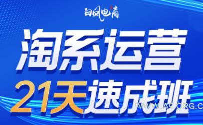 白凤电商·淘系运营21天速成班(更新9月)-351资源网