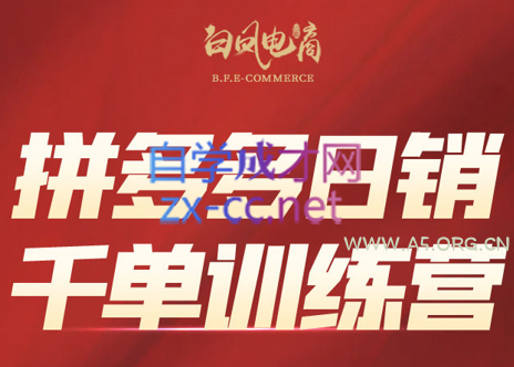 白凤电商·拼多多日销千单训练营(更新6月)-351资源网