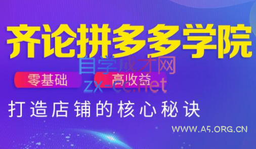 齐论拼多多vip课程-351资源网