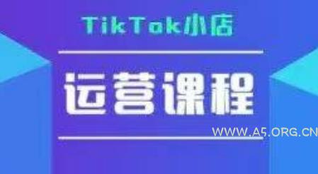 TikTok小店运营实操课，TK​小店运营实操+疑难答疑-351资源网