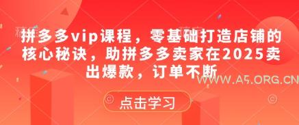拼多多vip课程，零基础打造店铺的核心秘诀，助拼多多卖家在2025卖出爆款，订单不断-351资源网