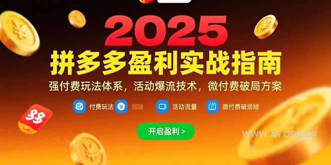 拼多多盈利实战指南，强付费玩法，活动爆流技术，微付费破局方案(更新7月-351资源网