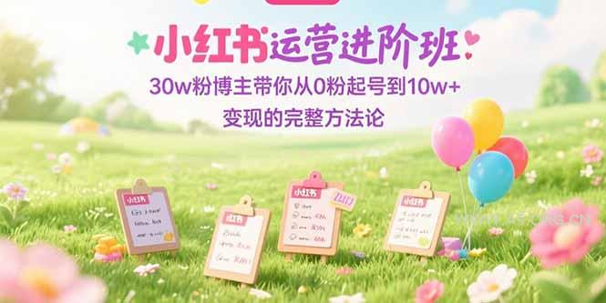 小红书运营进阶班：30w粉博主带你从0粉起号到10w+变现的完整方法论-351资源网