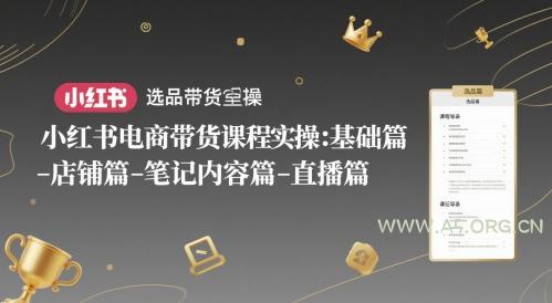 小红书电商带货课程实操：基础篇-选品篇-店铺篇-笔记内容篇-直播篇-351资源网