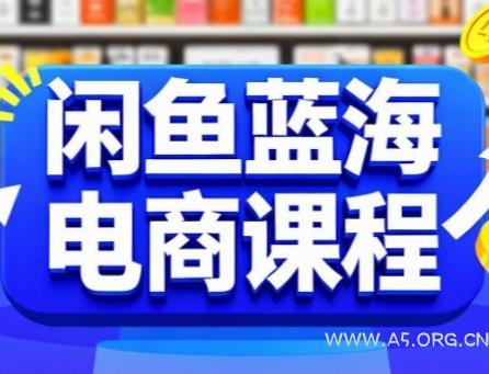 闲鱼蓝海电商课程,手把手助你快速上手,轻松实现闲鱼稳定盈利-351资源网
