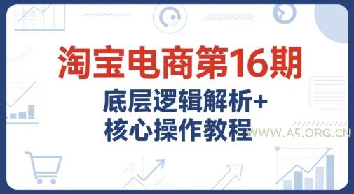 淘宝电商第16期，底层逻辑解析+核心操作教程，运营、推广提升能力的必学课程+配套资料-351资源网