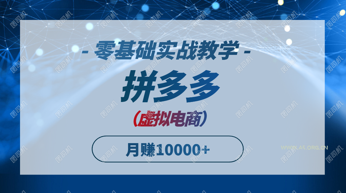 拼多多虚拟电商，零基础实战教学，快速打爆商品，新手也能月入10000+-351资源网