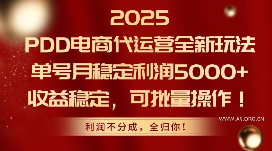 2025PDD电商代运营全新玩法，单号月稳定利润5000+，收益稳定，可批量操作-351资源网