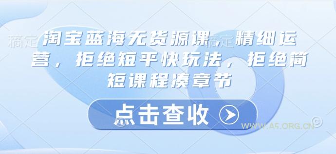 淘宝蓝海无货源课，精细运营，拒绝短平快玩法，拒绝简短课程凑章节-351资源网