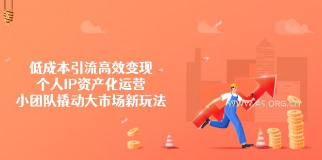 低成本引流高效变现，个人IP资产化运营，小团队撬动大市场新玩法-351资源网