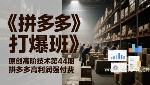 《拼多多打爆班》原创高阶技术第44期，拼多多高利润强付费-351资源网