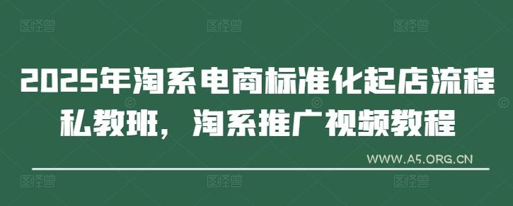 2025年淘系电商标准化起店流程私教班，淘系推广视频教程-351资源网