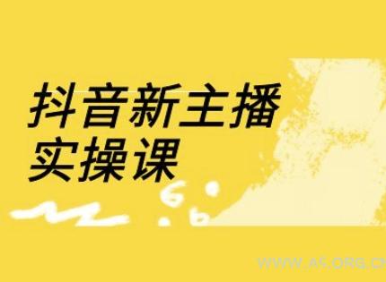 抖音新主播实操课，直播间流量运营线上实操课(18节)-351资源网